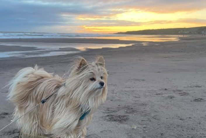 Readers share 16 stunning Northumberland views worth stopping for
