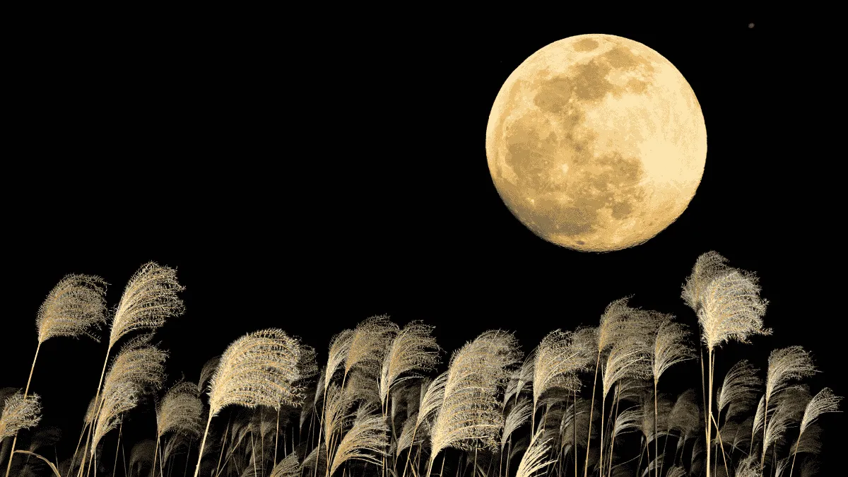 Harvest moon 2026 tonight: When and where to watch September’s full ...