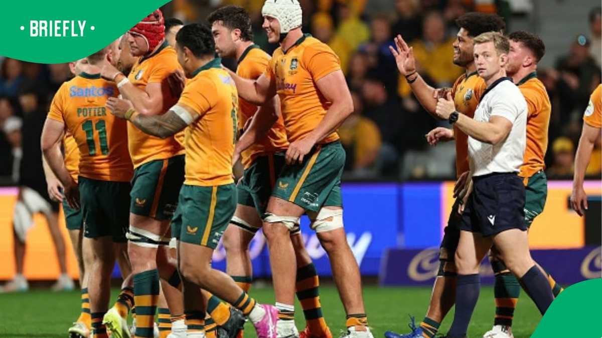 Wallabies call up rugby legend’s son for November tests