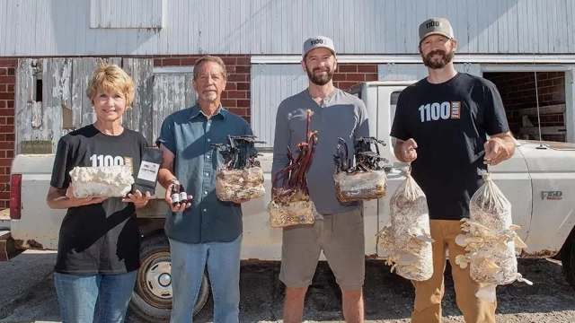 Former animal farm gets second life as giant mushroom-growing operation