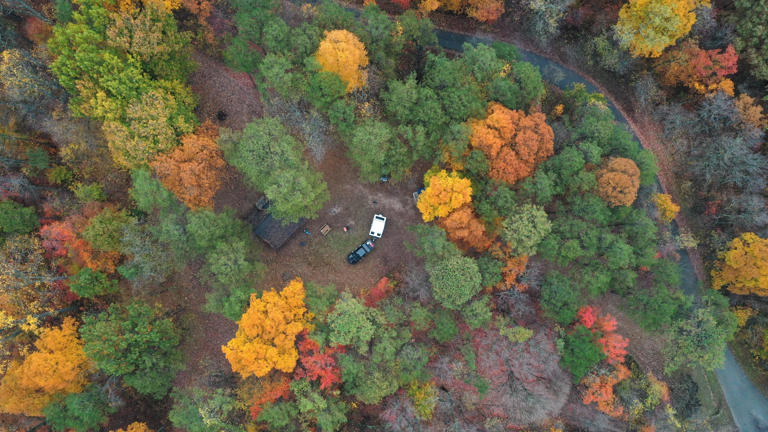 2 reasons ODNR predicts great fall colors in Ohio