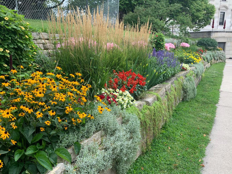 Ornamental grasses add year-round color to central Ohio yards