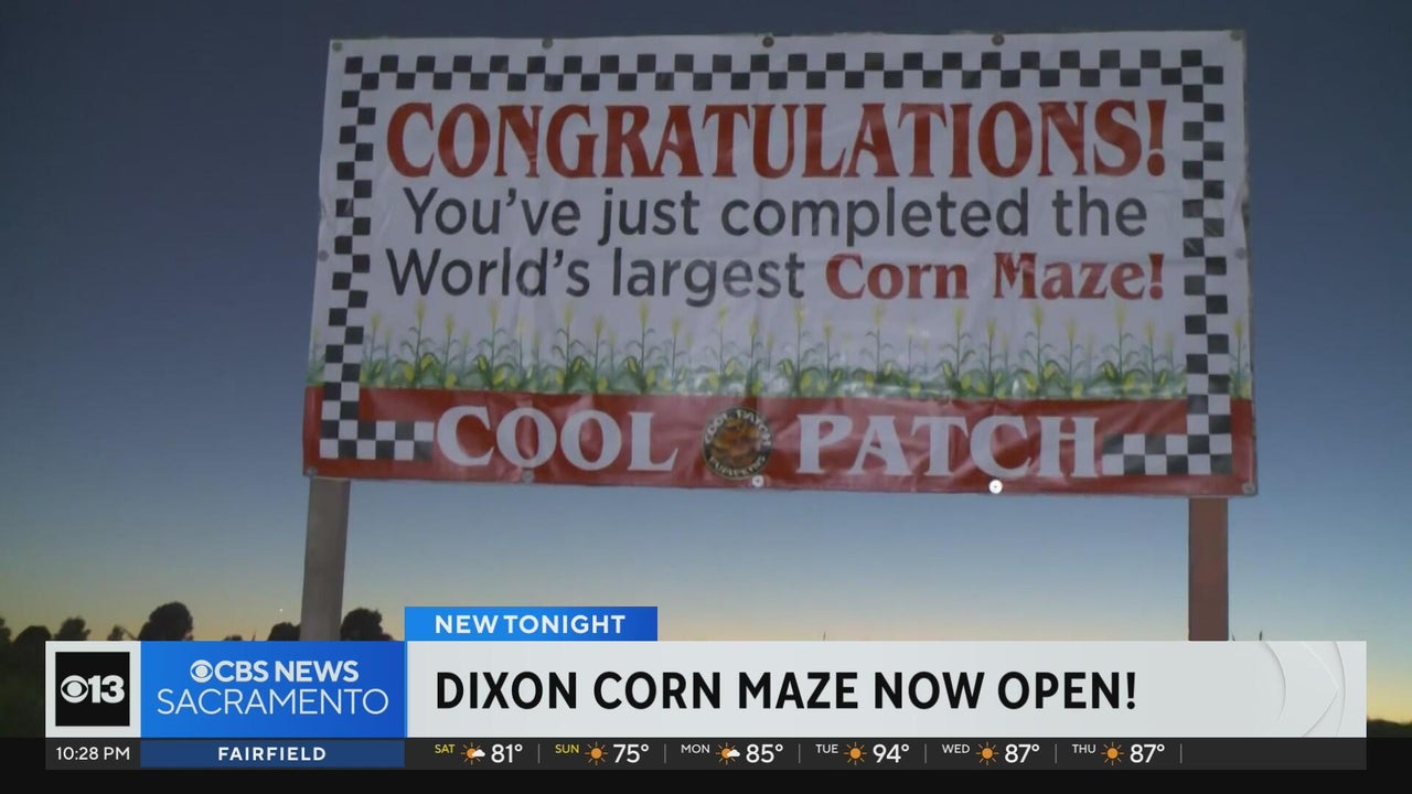 Dixon corn maze open for the 2026 fall season