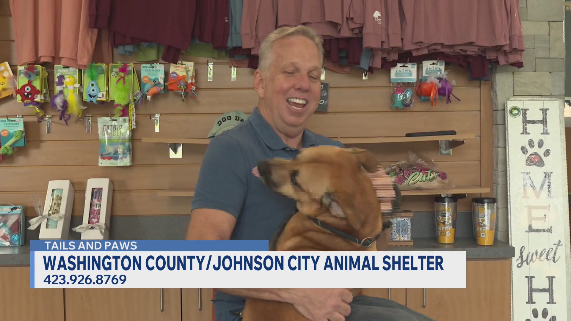 Rome and Donnie need forever homes this fall, Tails and Paws