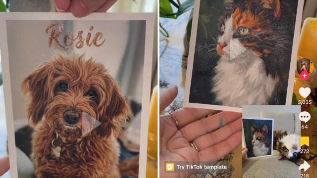 TikTok 'artist' sparks backlash for selling AI pet memorial portraits ...