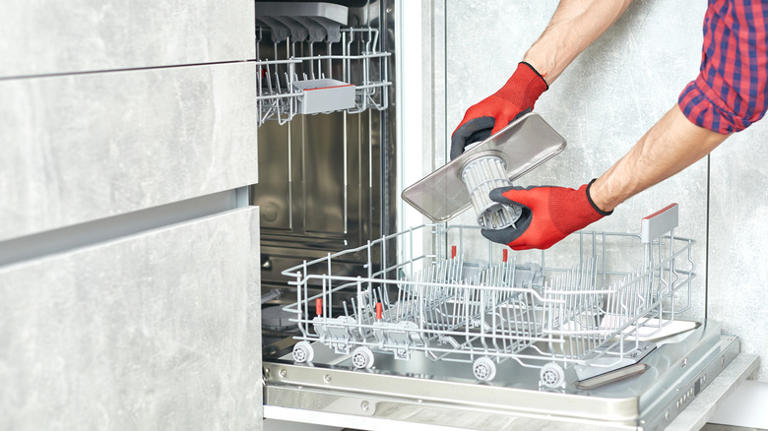 How To Clean Your Dishwasher Filter – And How Often You Should