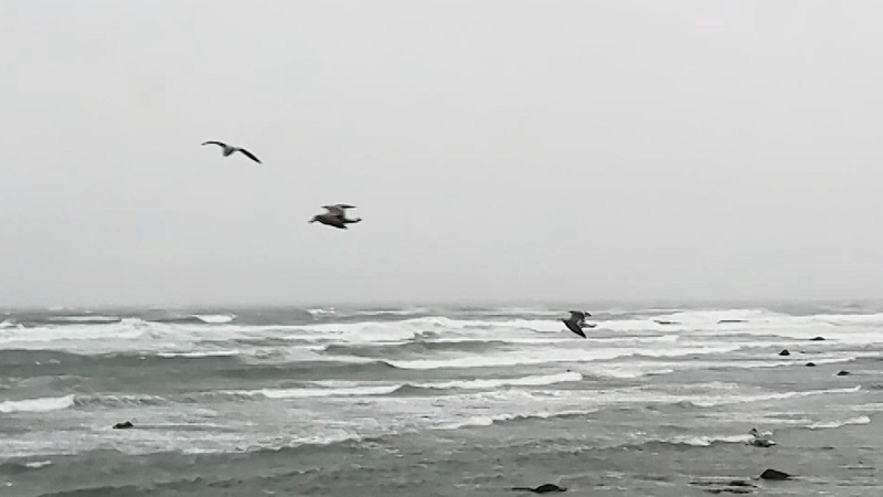 Windy conditions as nor'easter hits Massachusetts coast