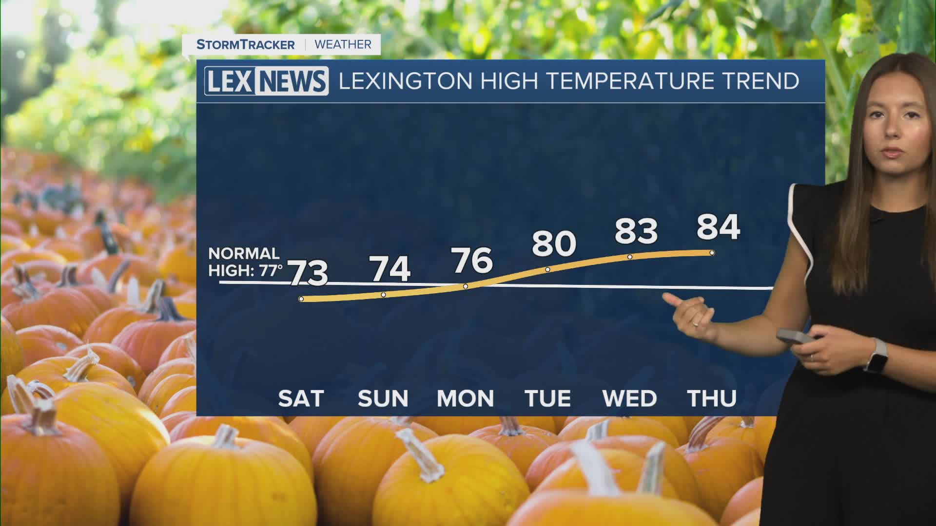 Sunny, beautiful fall weekend with comfortable temps