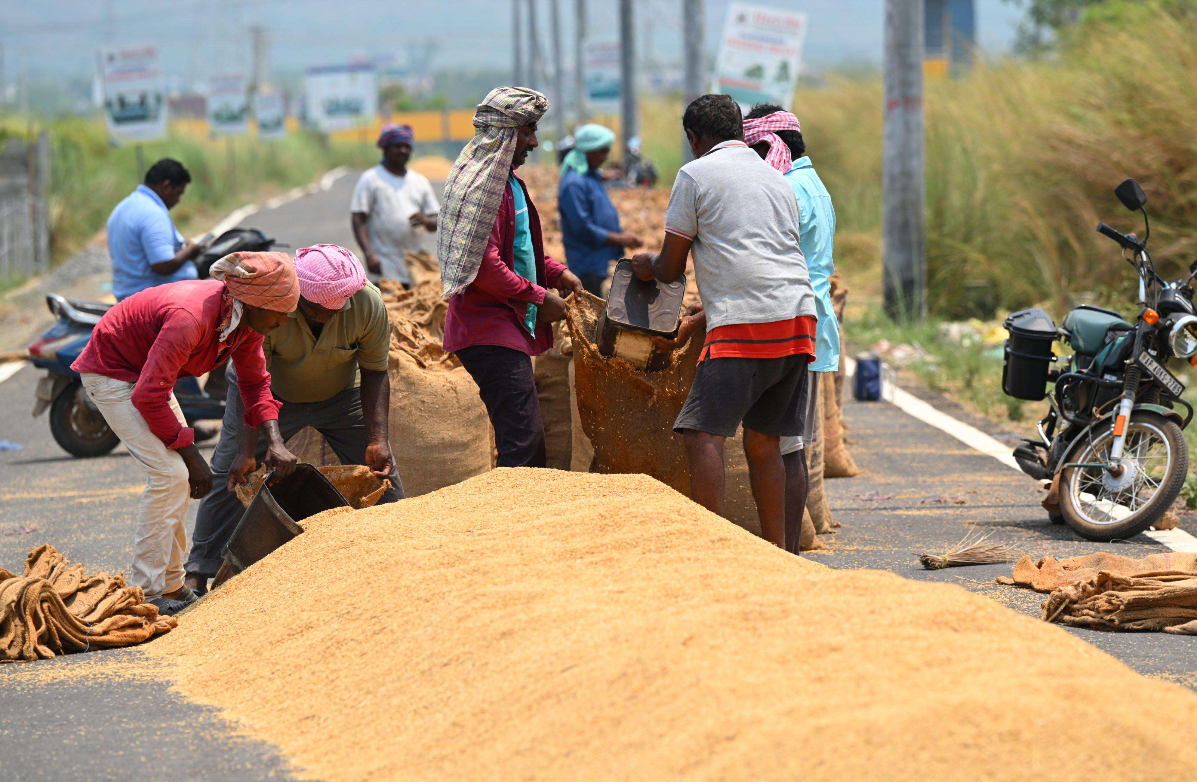 Ahead of paddy procurement, Punjab faces storage crisis