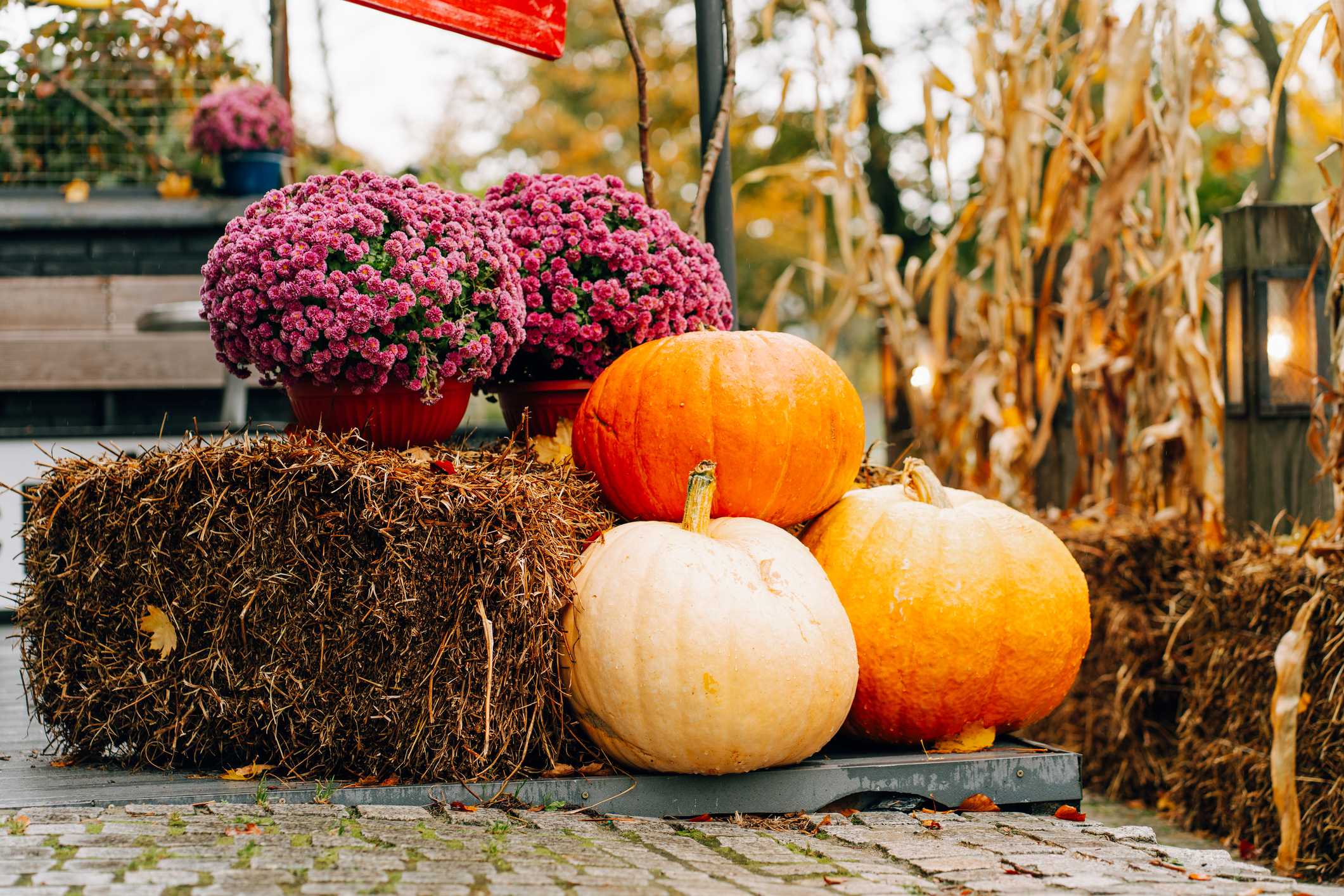 What's a pumpkin concierge? Meet the southern Indiana business ...
