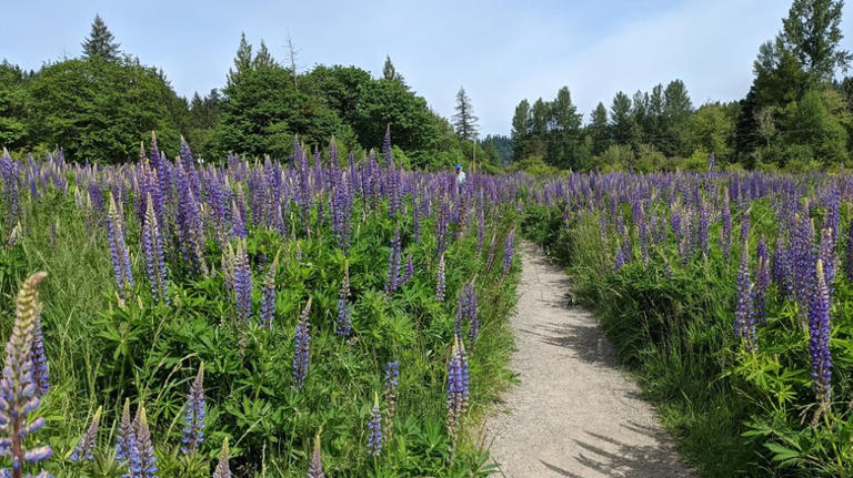 Outside Seattle is Washington's scenic nature preserve with peaceful ...