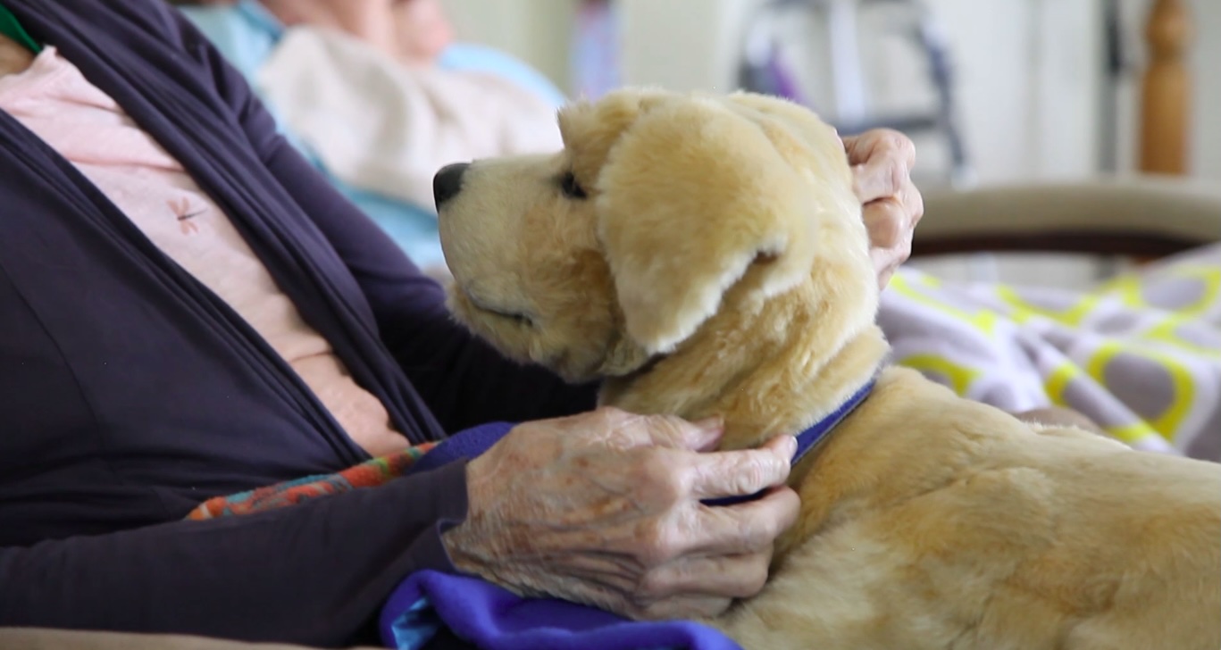 Eurostat, Malta registra mortalità per demenza senile tra le più alte ...
