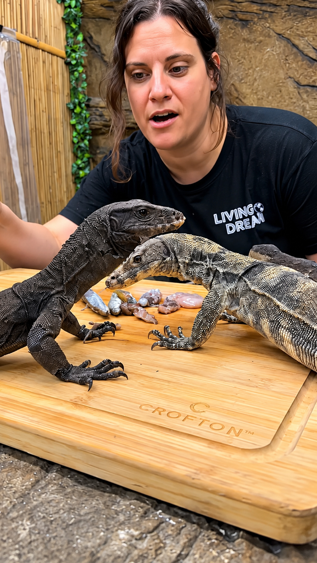 Hungry baby dragons turn lunch into chaos