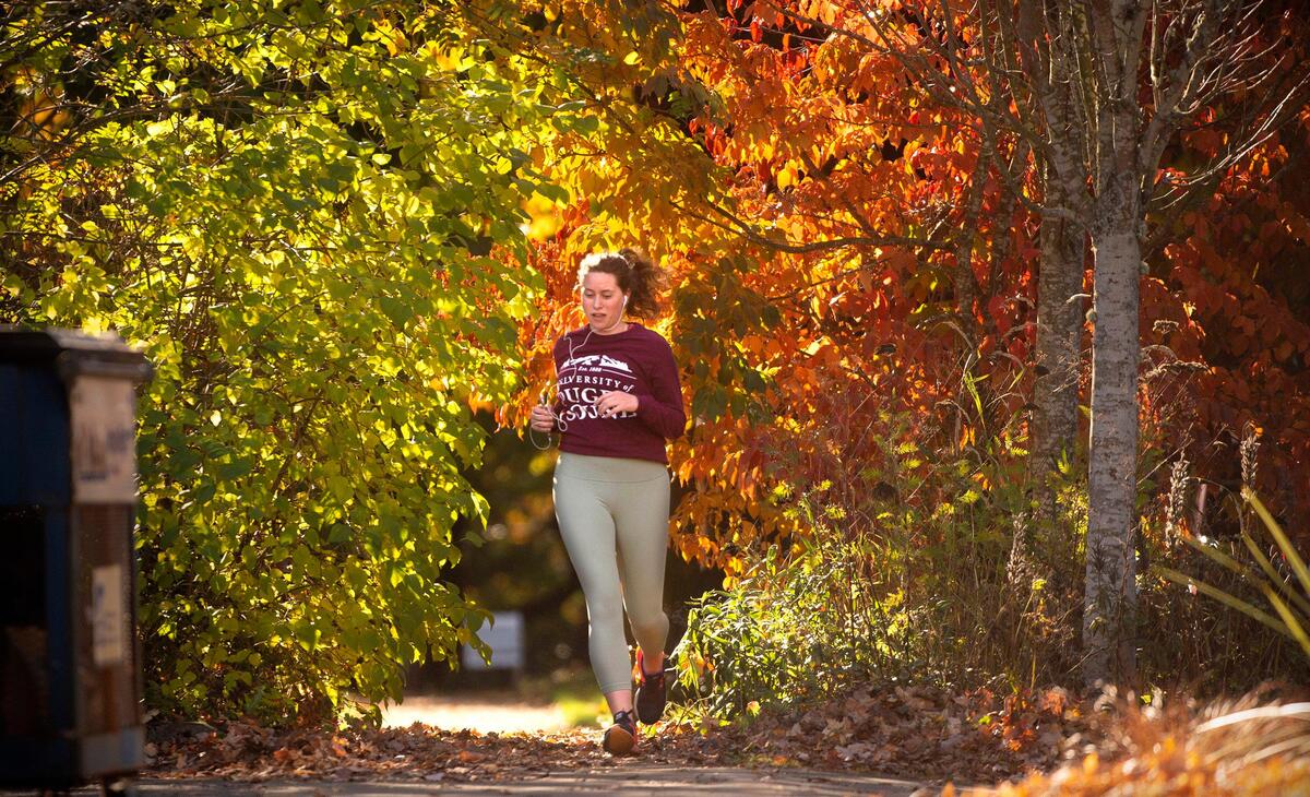 When are fall leaves at their peak in WA? Find top times for seasonal color