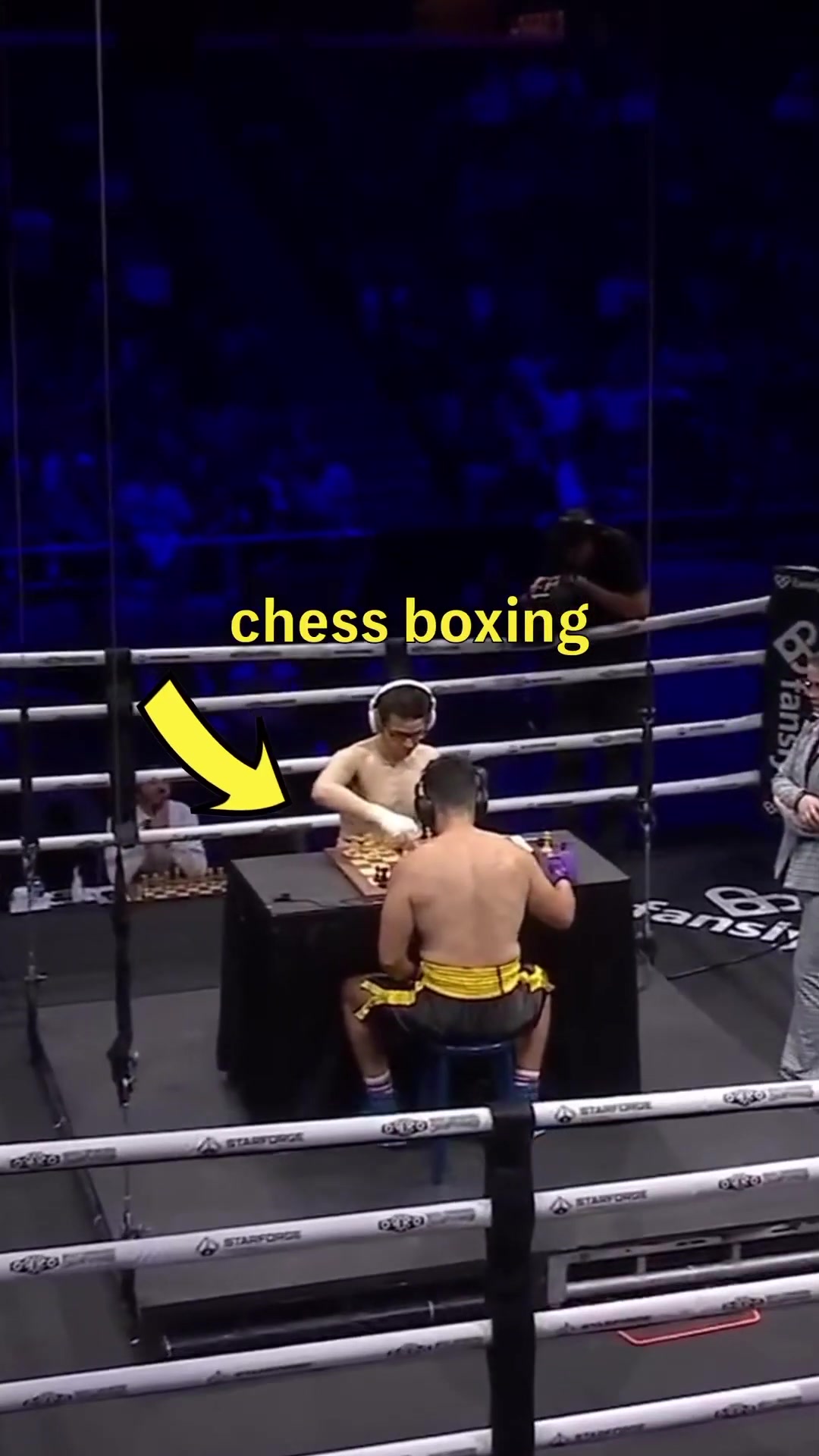 Is chess boxing the next big sport? #chess #boxing