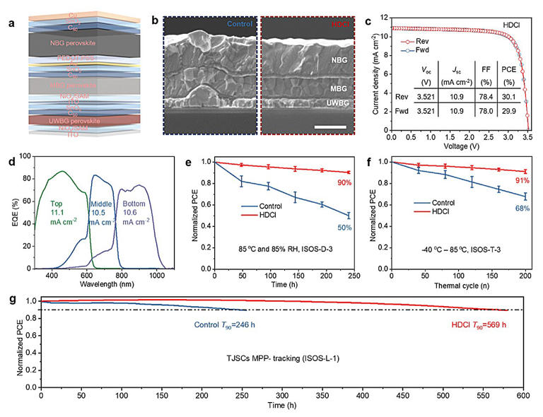 Smoother perovskite films lift three-layer solar cell efficiency to 30.1%