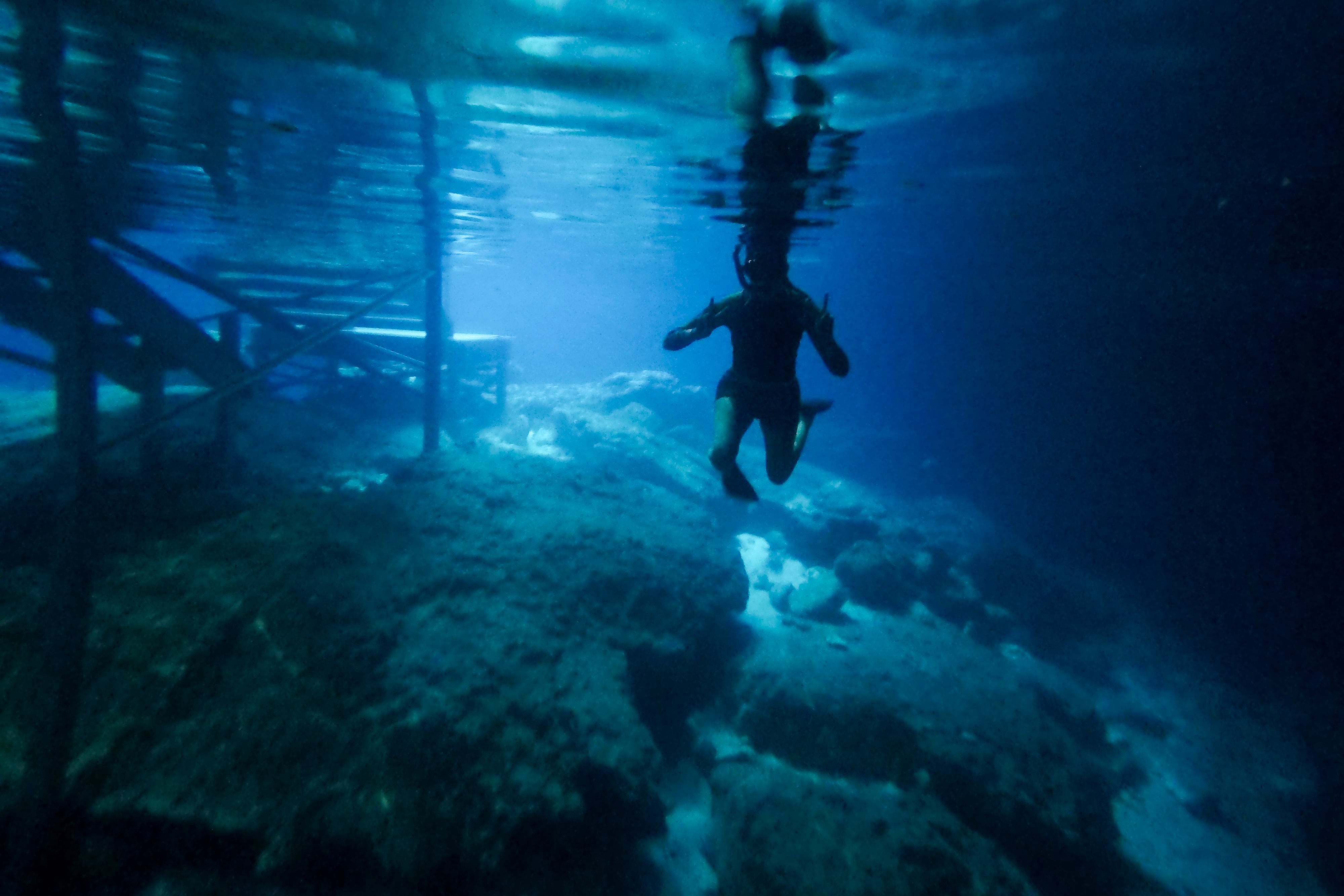 6 springs in 2 days: A Florida road trip reveals the state’s freshwater ...