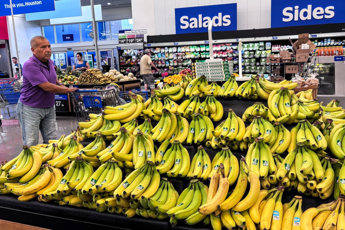 Budget-friendly fiber options to help protect you