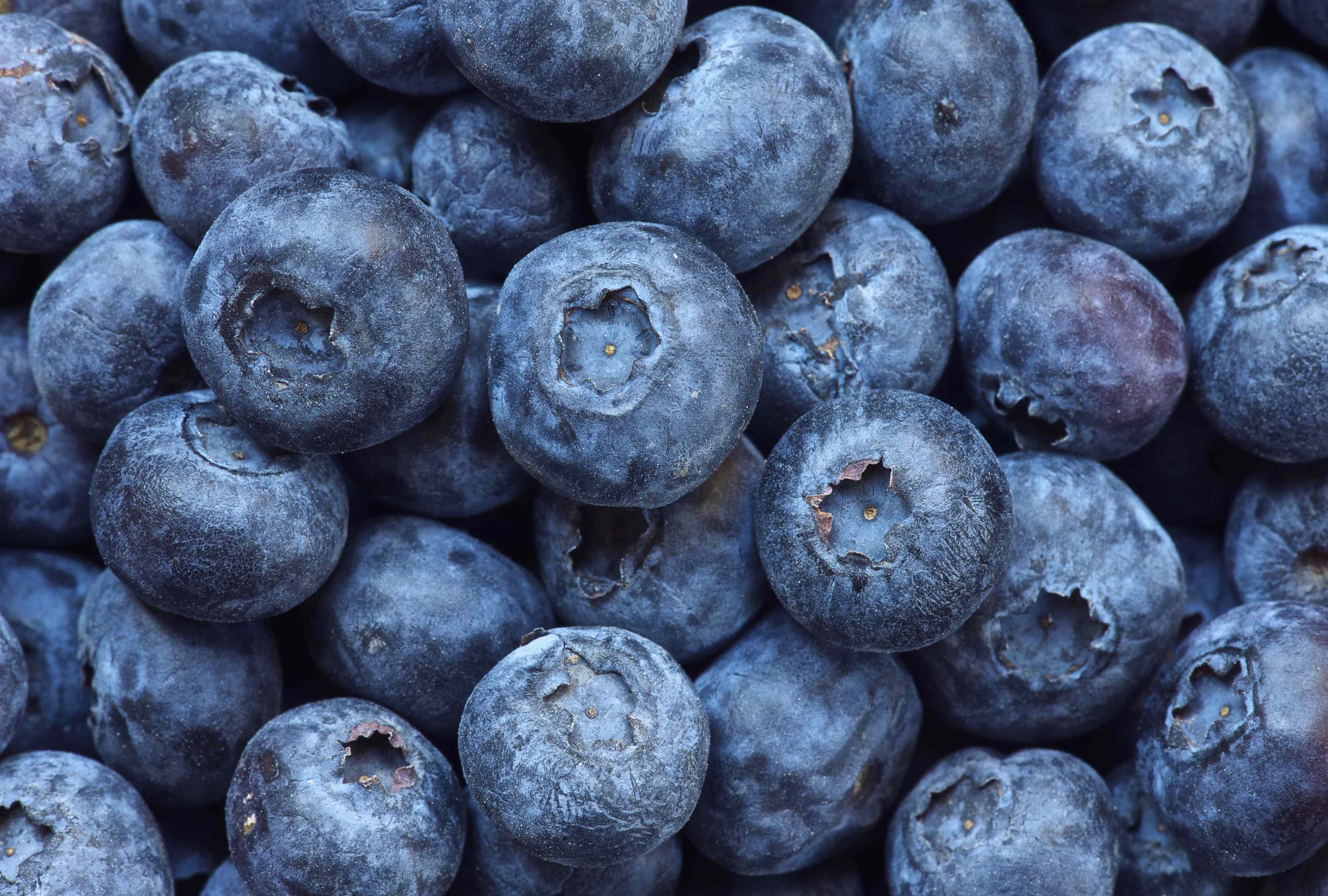 4 warning signs to look for when buying fresh blueberries