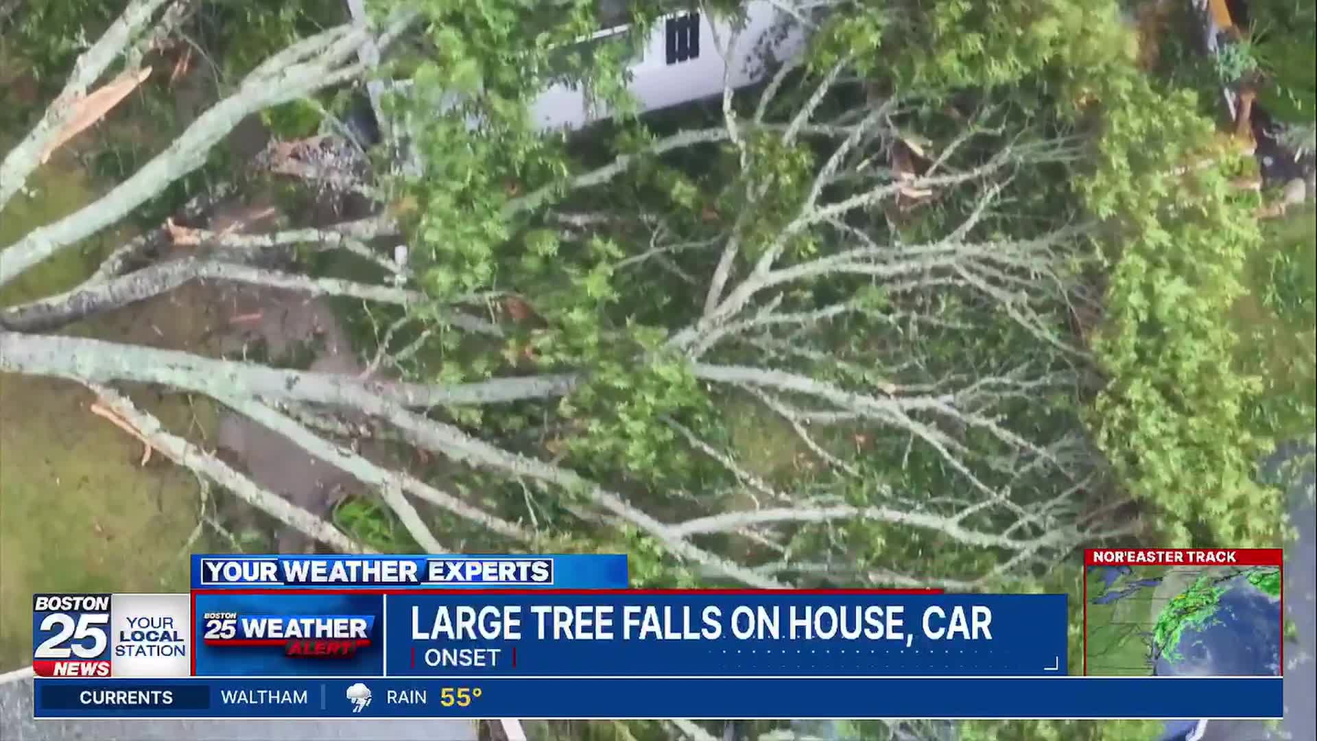 Large tree crashes down on Mass. home as nor’easter brings powerful ...