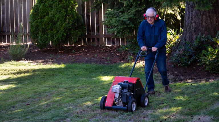 Ditch big & bulky lawn aerators for a compact Amazon solution that ...