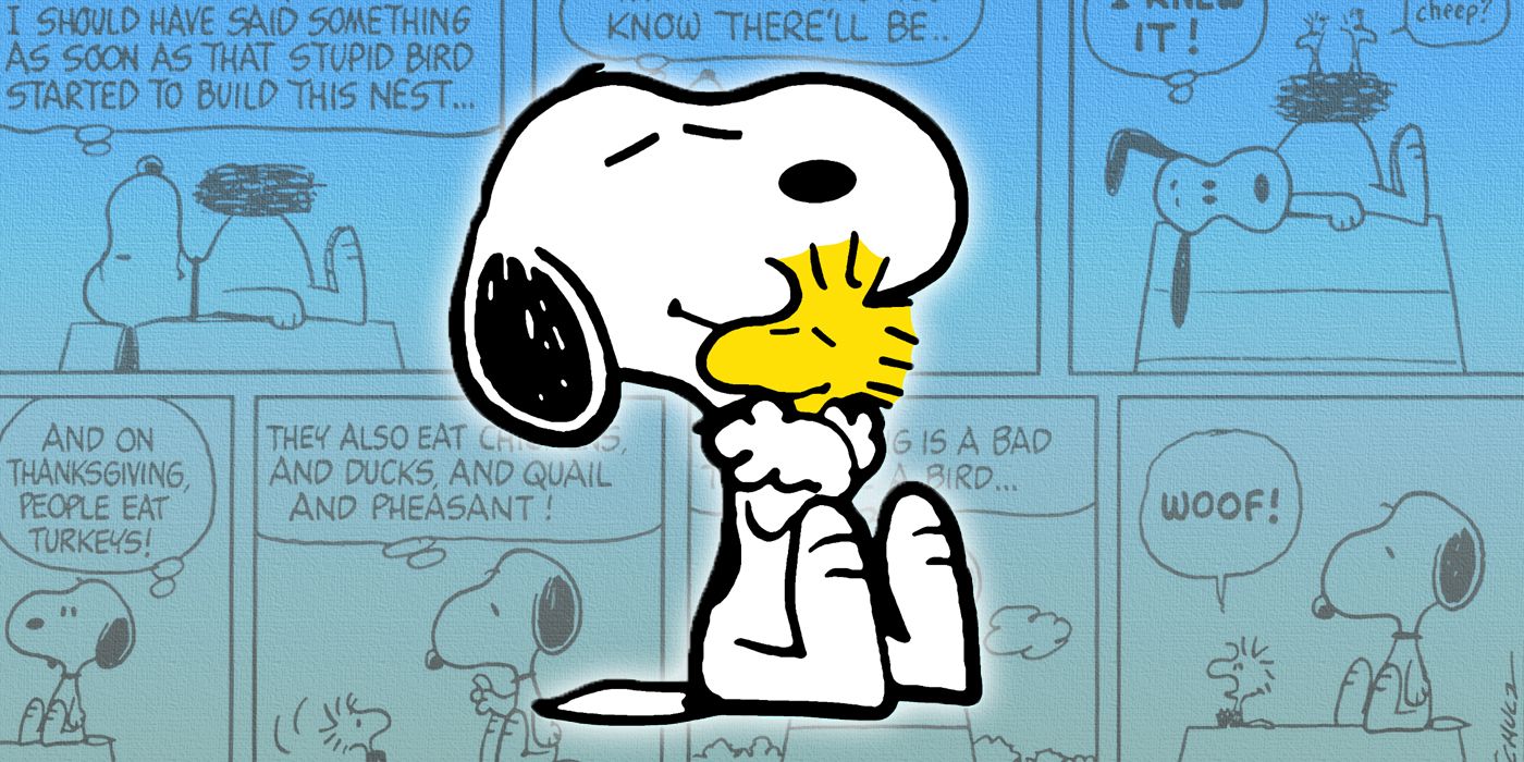 10 best Woodstock Peanuts comic strips, ranked