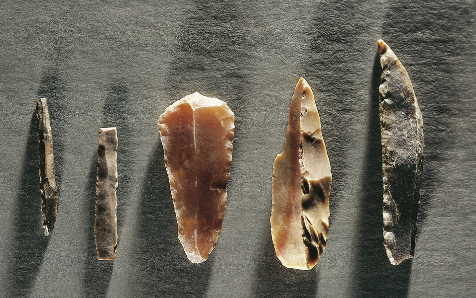 How Paleolithic tools shaped human history