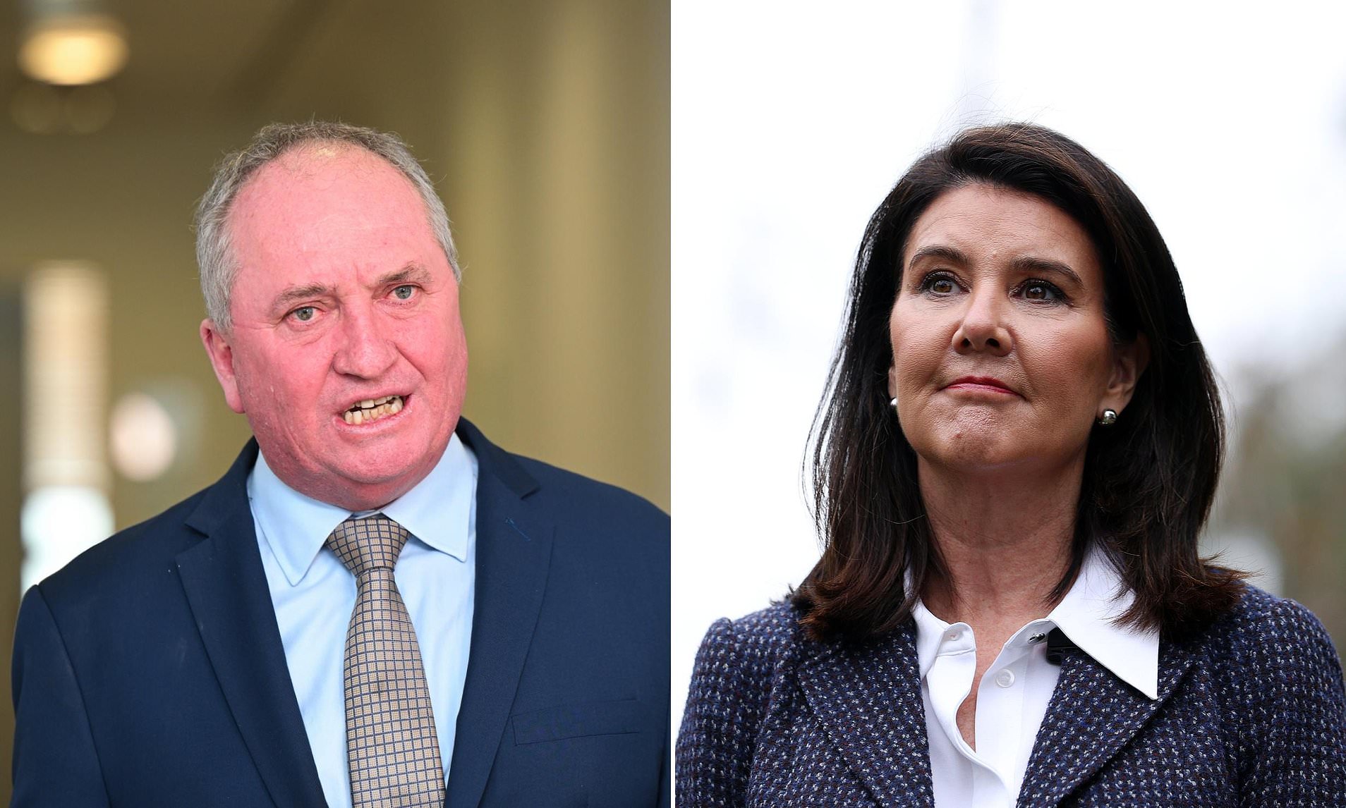 Liberal deputy fires back at Barnaby Joyce over claim One Nation deal ...