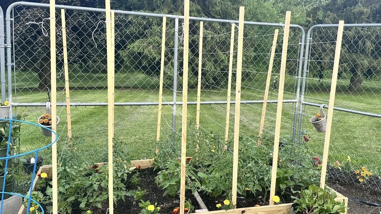 12 garden trellis structures that'll upgrade your gardening game