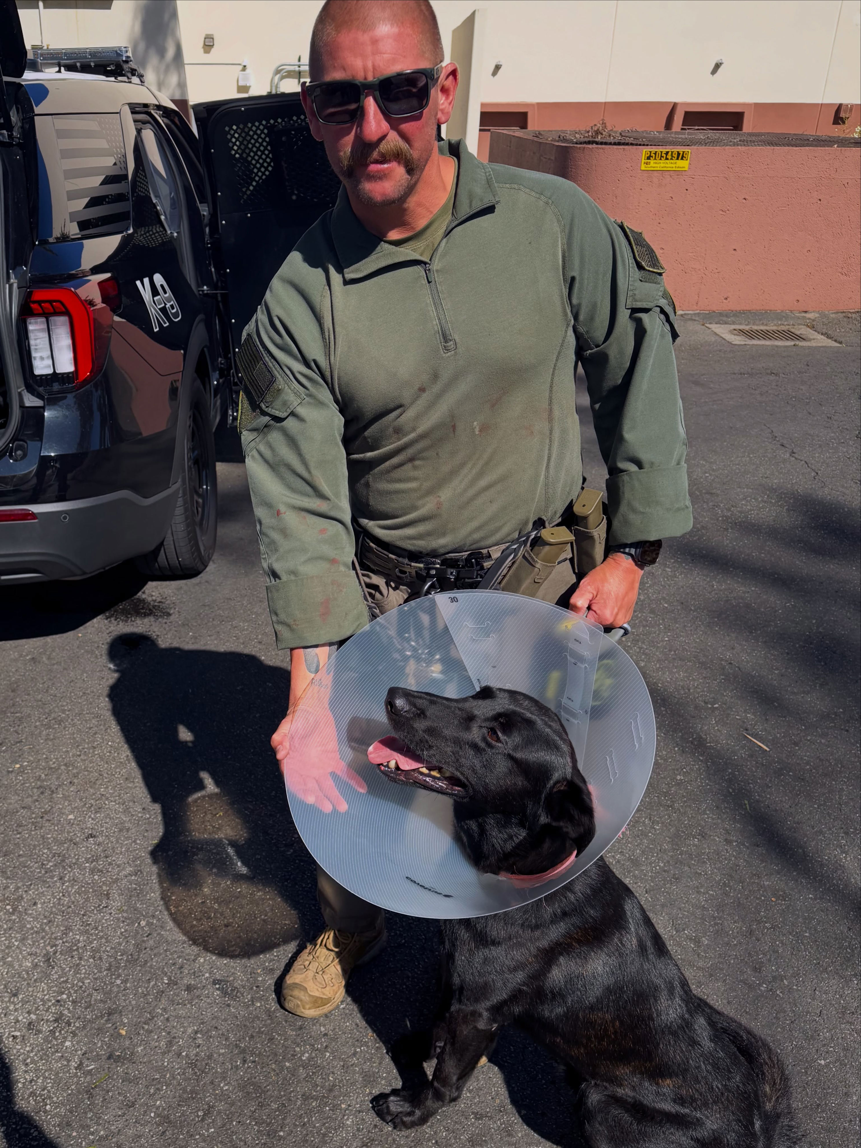 Armed suspect bites off piece of police dog's ear in California