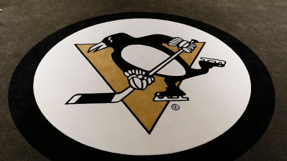 Pittsburgh Penguins player's father killed by bear during fishing trip ...