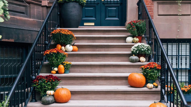The secret design tricks that make mums look more expensive, for a high ...
