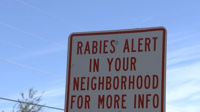 Cat with rabies attacks 2 people in Gwinnett County