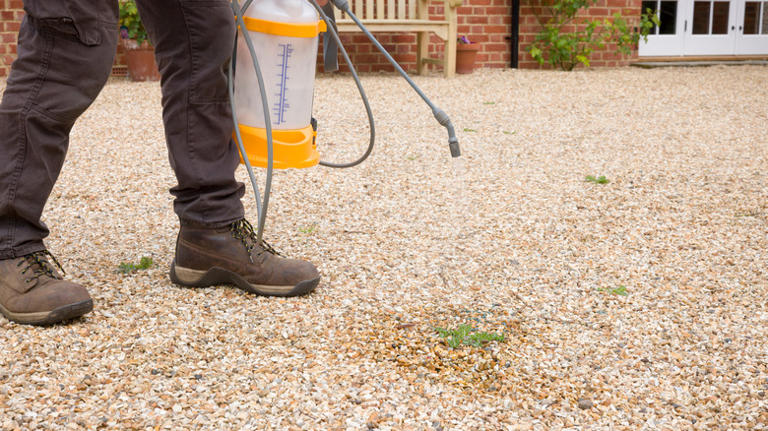 Not mulch glue: The natural solution that keeps gravel driveways neat