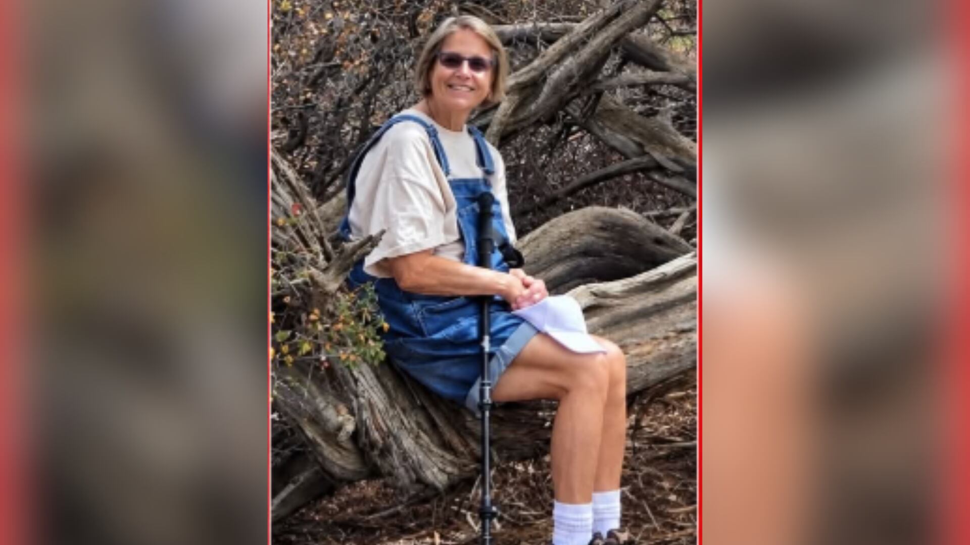 Investigation underway after Florida woman missing from Andalusia ...