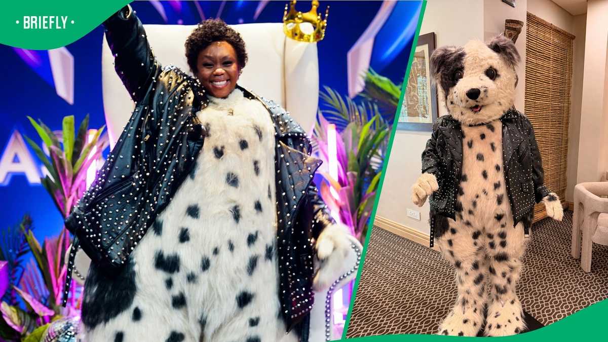 Could music be the next thing on the cards for 'The Masked Singer South ...