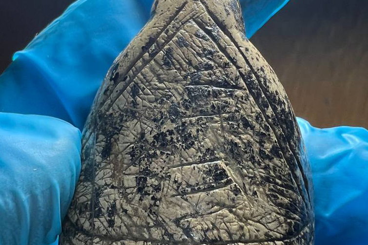 Mammoth tusk patterns inspired Ice Age art, new research suggests