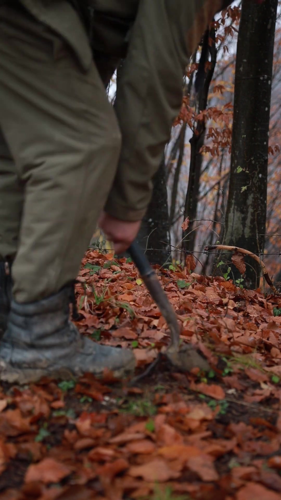 Primitive bushcraft cooking: Fire pit steak in the wilderness