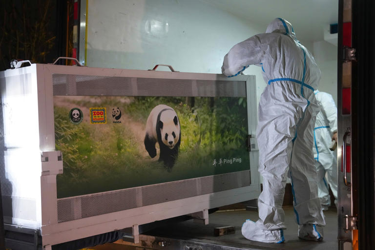 Two giant pandas arrive in Atlanta on 'FedEx Panda Express'