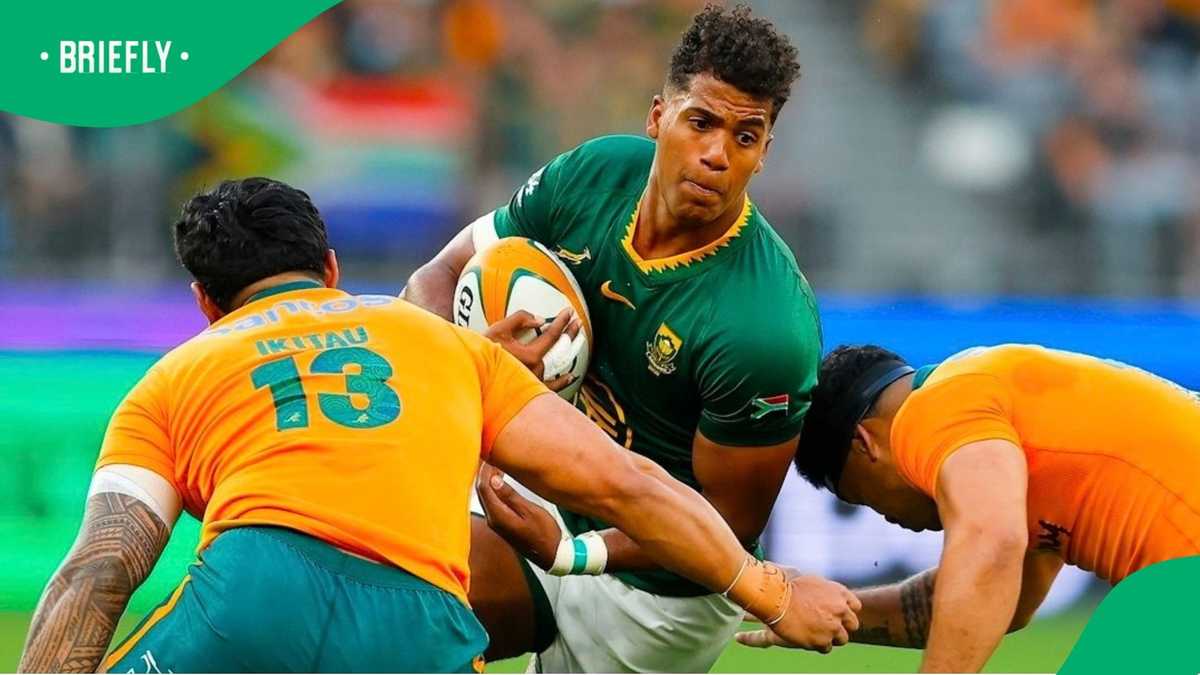 Awkward Springbok locker-room moment caught on camera during Wallabies ...