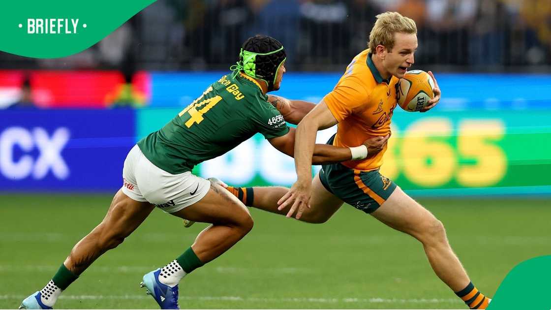 Awkward Springbok locker-room moment caught on camera during Wallabies ...