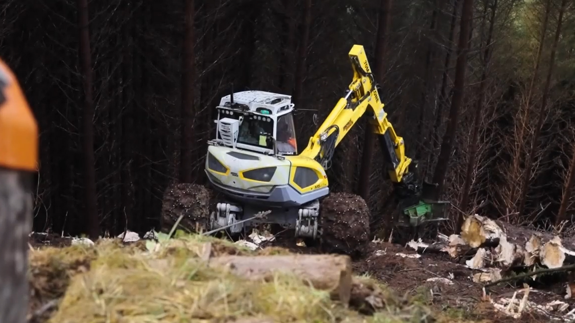 Spider excavator clearing trees on a steep forest slope