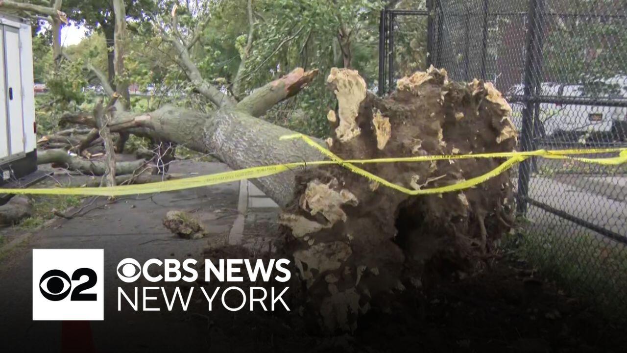 Nor'easter bringing flooding and wind damage to Tri-State Area - Sunday ...