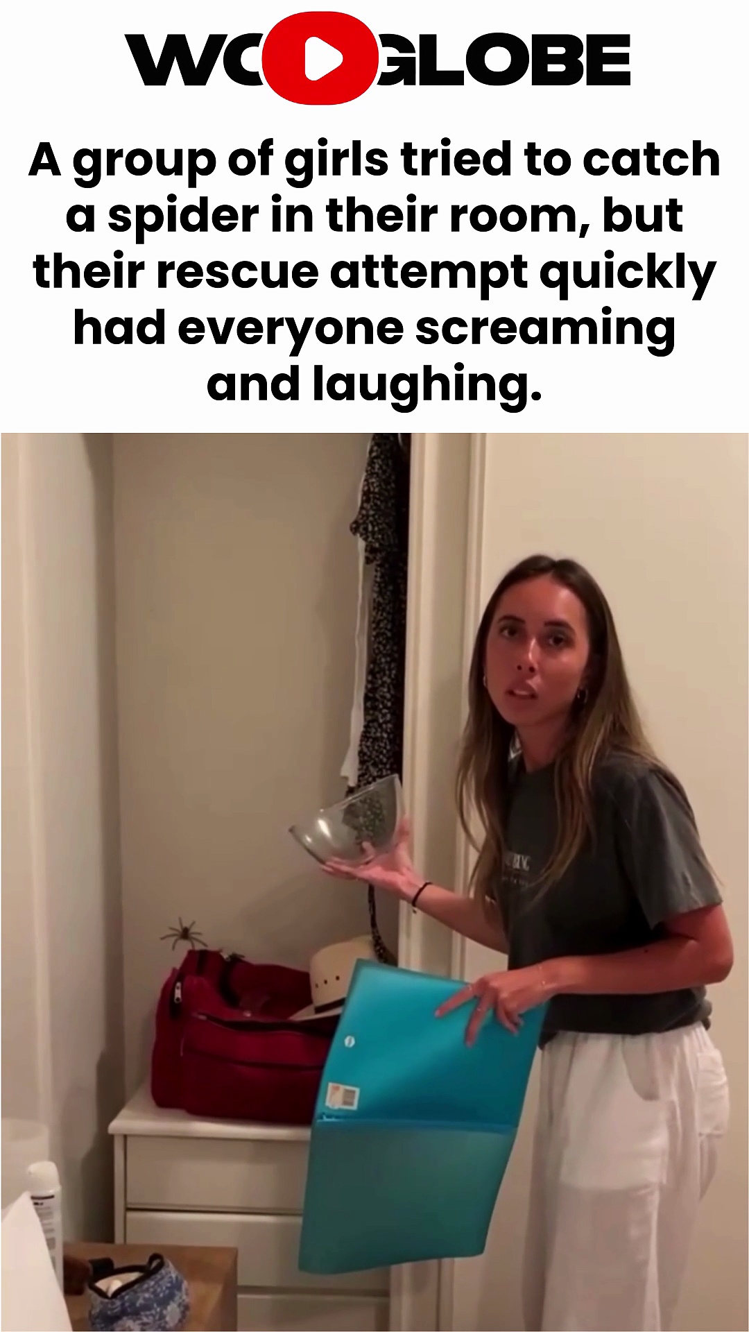 In their bedroom, girls use a bowl and broom to catch a jumping spider
