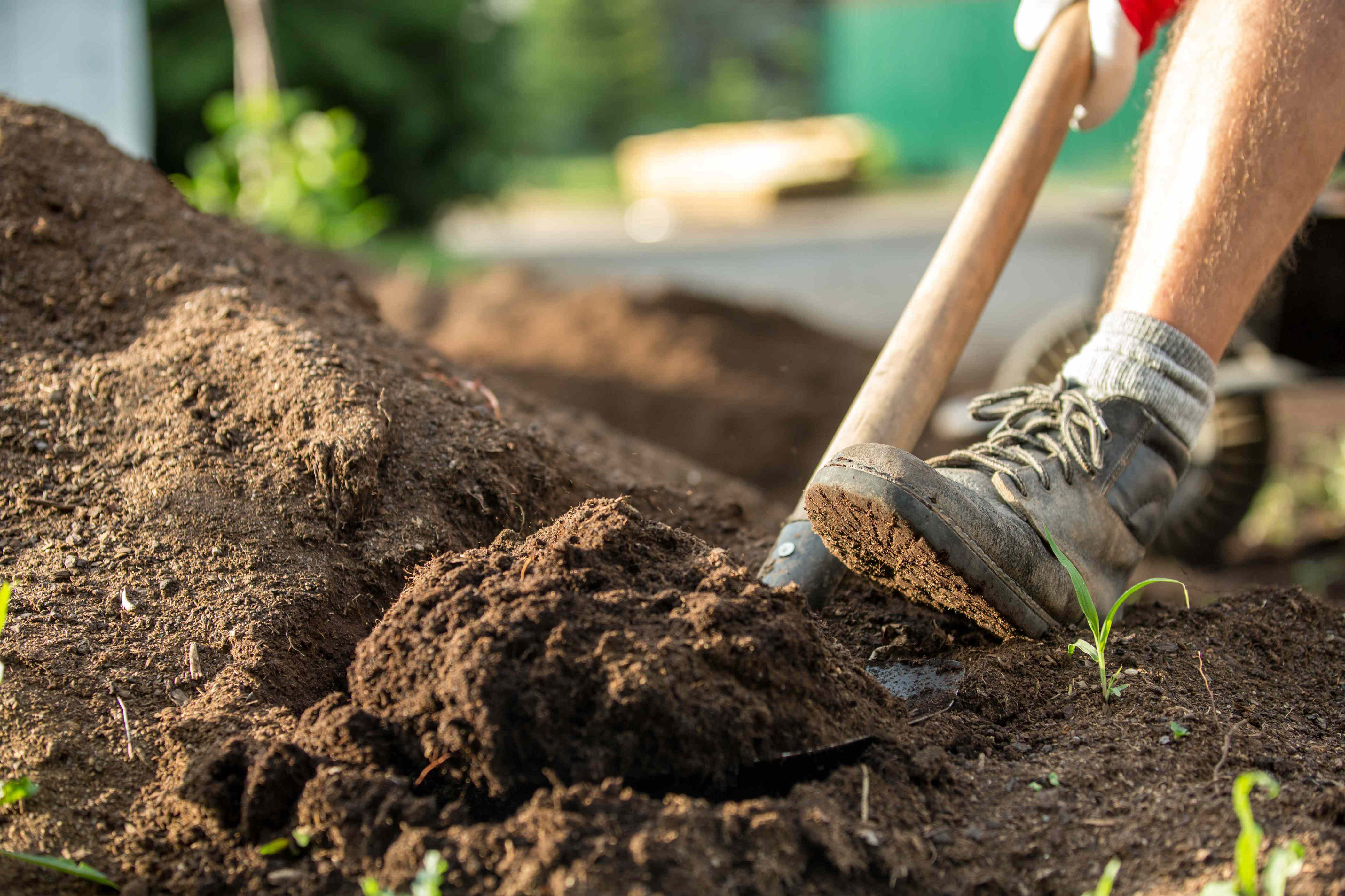 Gardeners say these simple fall soil additions can make a big ...