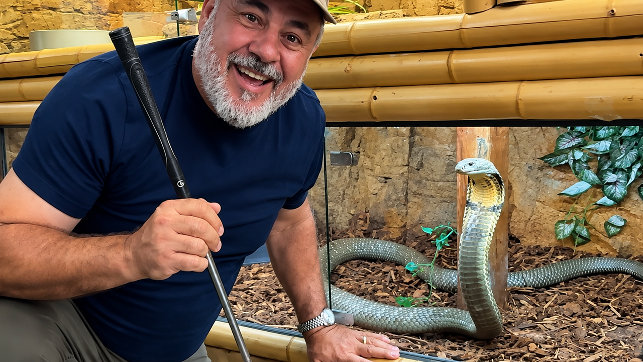 Expert snake handling results in close encounters with venom