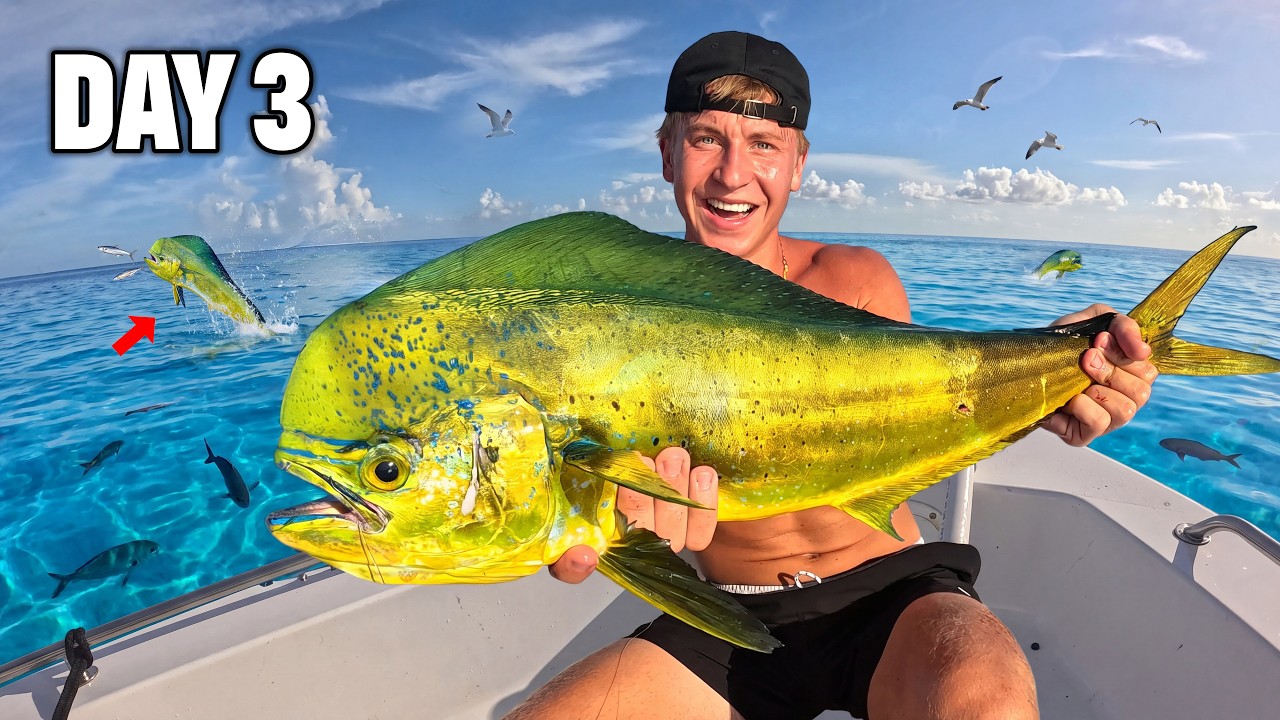 3 days in Florida Keys: mahi & lobster