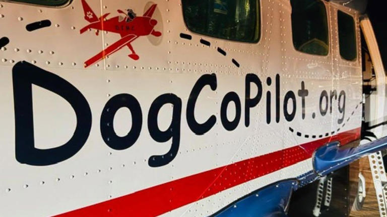 Norman Shelter Partners to Fly Overcrowded Animals to New Homes