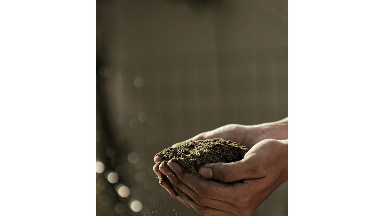 New, cheaper method to measure DNA-bound phosphorus in soil developed