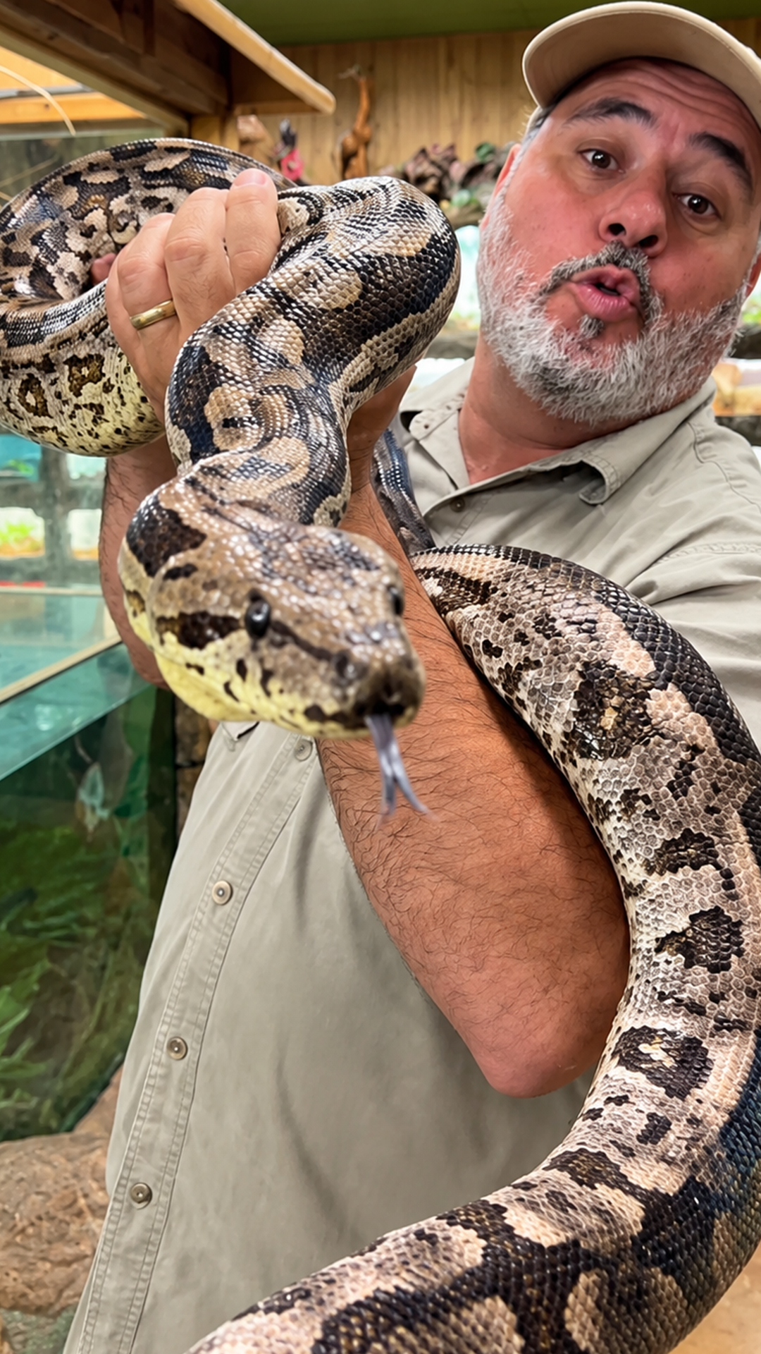 Meeting a magnificent specimen of the world's rarest boas